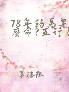 78年的马是什么命?五行属性