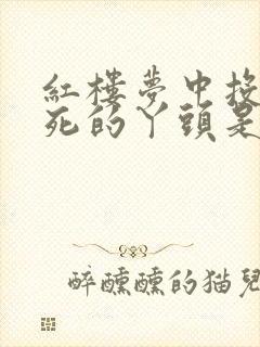 红楼梦中投井而死的丫头是谁