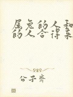 属兔的人和属鸡的人合得来吗