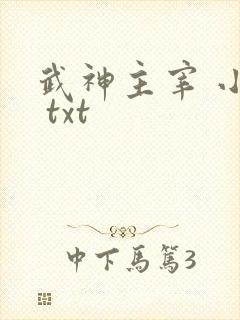 武神主宰 小说 txt