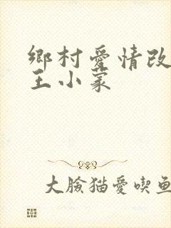 乡村爱情改编版王小蒙