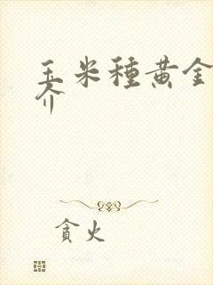 玉米种黄金粮简介