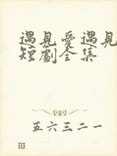遇见爱遇见幸福短剧全集