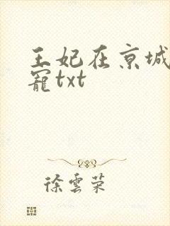 王妃在京城当团宠txt