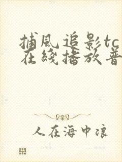 捕风追影tc版在线播放普通话