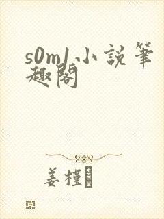 s0m1小说笔趣阁