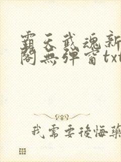 霸天武魂新笔趣阁无弹窗txt