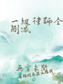 一级律师全文未删减