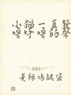 小猫一直发出呼噜呼噜的声音是怎么回事