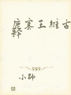 鹿寨王维古诗解释