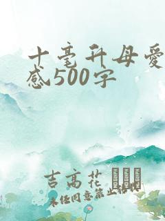 十毫升母爱读后感500字