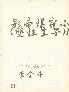 影帝爆宠小骚妻(双性生子)h
