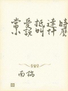 当爱抵达时原著小说叫什么
