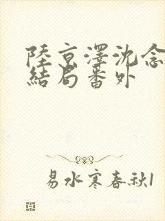 陆京泽沈念沈烟结局番外