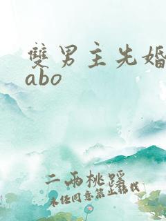 双男主先婚后爱abo