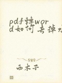 pdf转word如何去掉水印