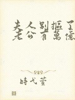 夫人别抠了,你老公有万亿家产