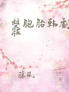 双胞胎韩剧完整版
