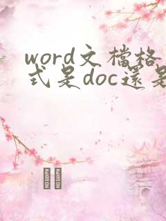 word文档格式是doc还是docx