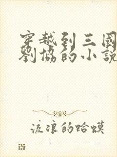 穿越到三国成了刘协的小说