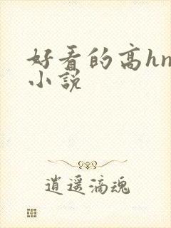 好看的高hnp小说