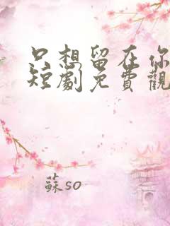 只想留在你身边短剧免费观看全集