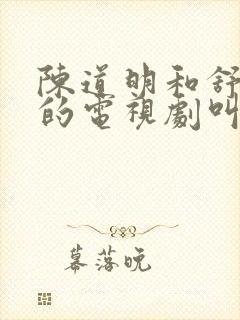 陈道明和舒淇演的电视剧叫什么名字
