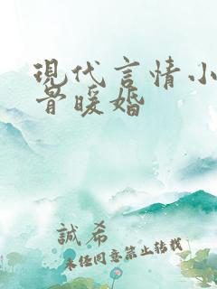 现代言情小说入骨暖婚