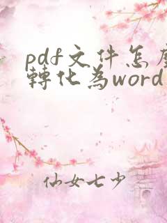 pdf文件怎么转化为word文件