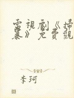 电视剧《扫毒风暴》免费观看完整版