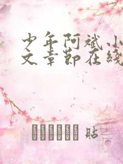少年阿斌小说全文章节在线阅读