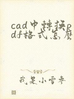 cad中转换pdf格式怎么弄黑白