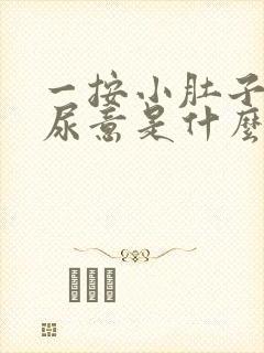 一按小肚子就有尿意是什么原因