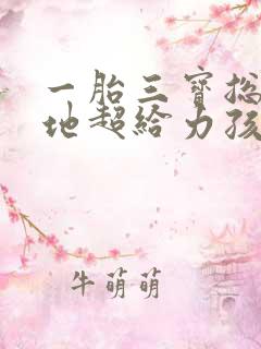 一胎三宝总裁爹地超给力孩子是谁的