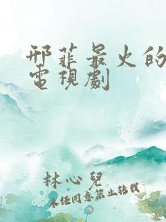 邢菲最火的十部电视剧