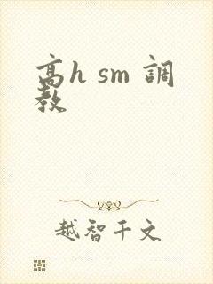 高h sm 调教