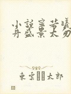 小说宁若曦沈砚舟盛景太匆匆在线阅读