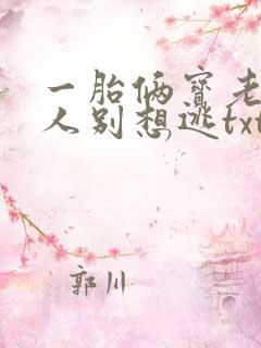一胎俩宝老婆大人别想逃txt