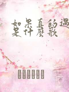 如果真的遇见你是什么歌
