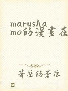 marushamo的漫画在哪能看