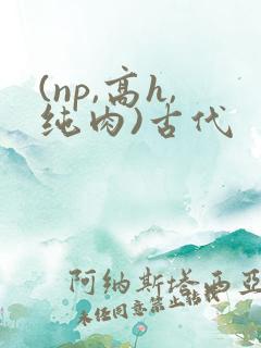(np,高h,纯肉)古代
