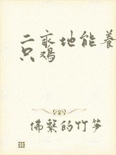 二亩地能养多少只鸡