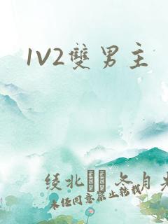 1V2双男主