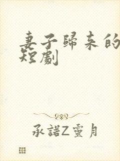 妻子归来的秘密短剧