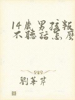 14岁男孩叛逆不听话怎么办