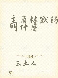 主角林默的小说叫什么