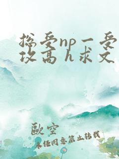总受np一受多攻高 h求文