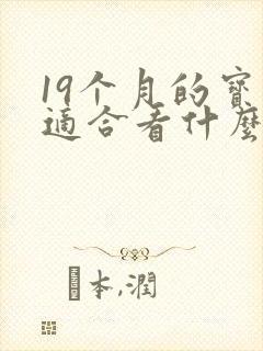 19个月的宝宝适合看什么书