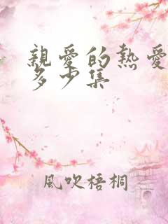 亲爱的热爱的共多少集