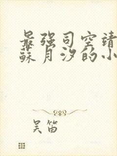 最强司空靖女主苏月汐的小说免费阅读
